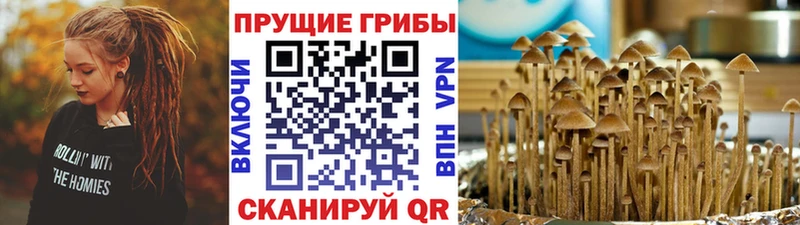 это наркотические препараты  Первоуральск  Псилоцибиновые грибы Psilocybine cubensis  где купить наркоту 